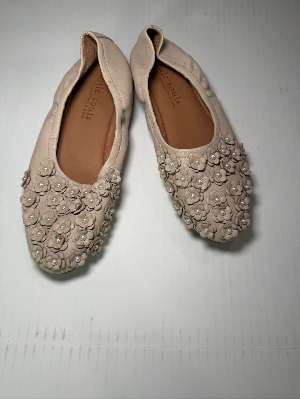 gentle souls Blush Floral Appliqué Ballet Flats